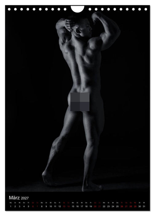 Master - Body...trainierte Körper (CALVENDO Wandkalender 2027)