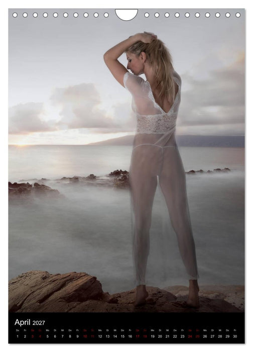 Master - Body...trainierte Körper (CALVENDO Wandkalender 2027)