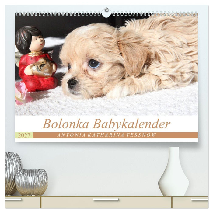Bolonka Babykalender 2027 (CALVENDO Premium Wandkalender 2027)