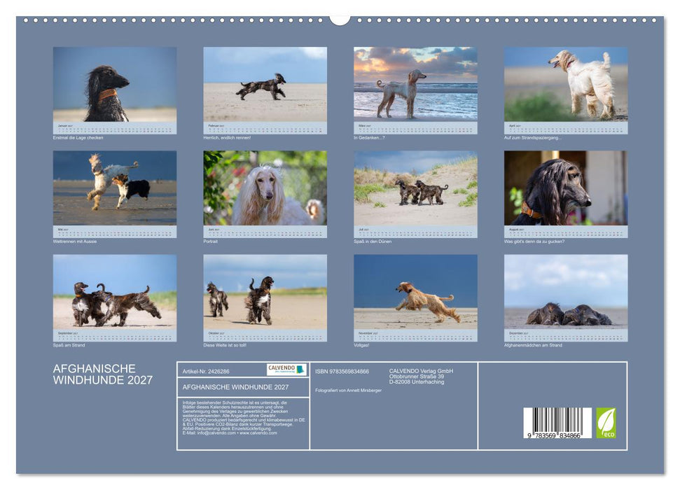 AFGHANISCHE WINDHUNDE 2027 (CALVENDO Wandkalender 2027)