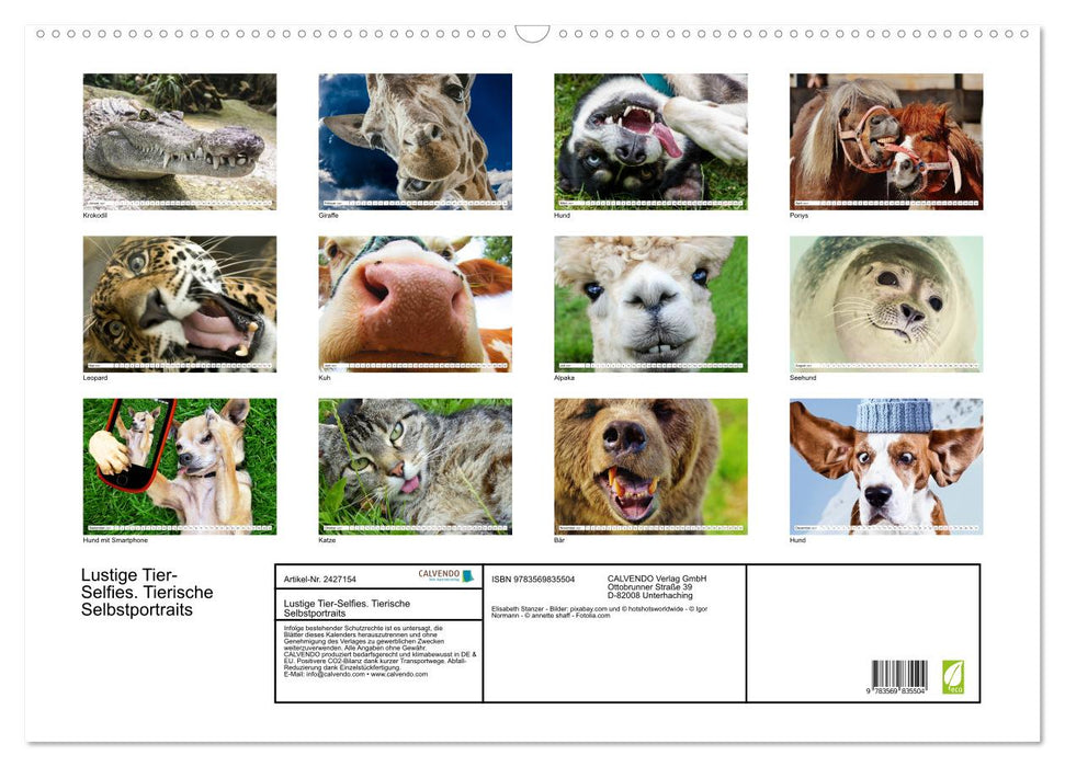 Lustige Tier-Selfies. Tierische Selbstportraits (CALVENDO Wandkalender 2027)