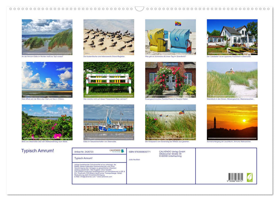 Typisch Amrum! (CALVENDO Wandkalender 2027)