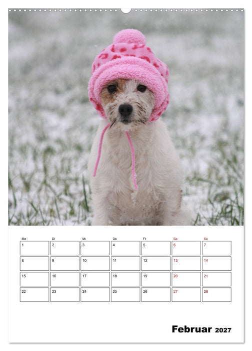 Tender Fellows - Parson Russell Terrier (CALVENDO Premium Wandkalender 2027)