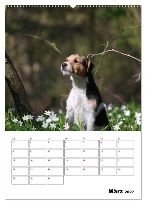 Tender Fellows - Parson Russell Terrier (CALVENDO Premium Wandkalender 2027)
