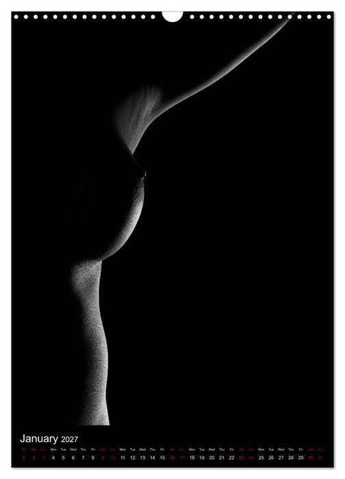 erotic shadows 2027 (CALVENDO Monthly Calendar 2027)