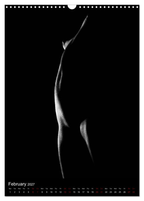 erotic shadows 2027 (CALVENDO Monthly Calendar 2027)