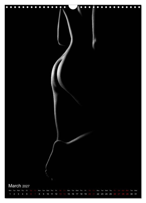 erotic shadows 2027 (CALVENDO Monthly Calendar 2027)