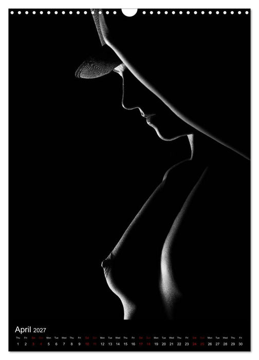 erotic shadows 2027 (CALVENDO Monthly Calendar 2027)