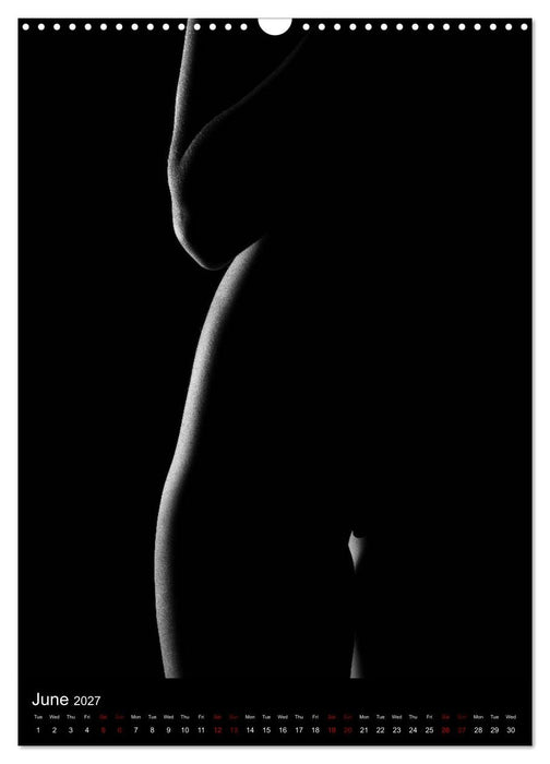 erotic shadows 2027 (CALVENDO Monthly Calendar 2027)