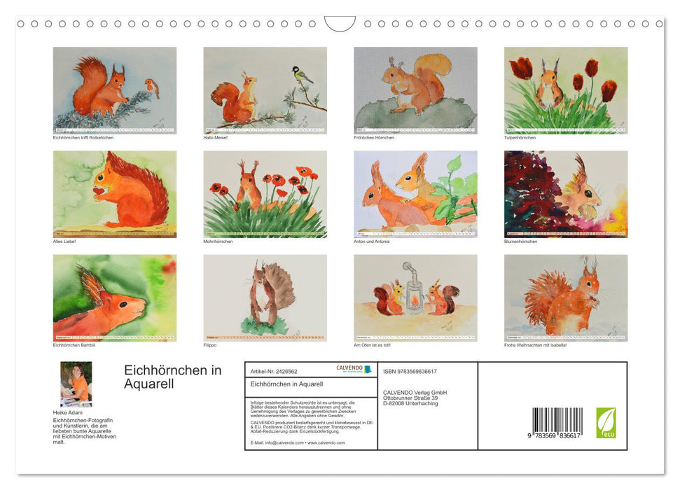 Eichhörnchen in Aquarell (CALVENDO Wandkalender 2027)