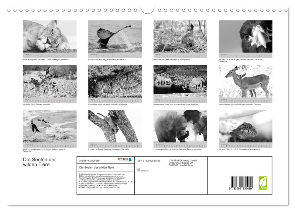 Die Seelen der wilden Tiere (CALVENDO Wandkalender 2027)