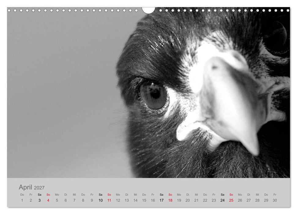 Die Seelen der wilden Tiere (CALVENDO Wandkalender 2027)