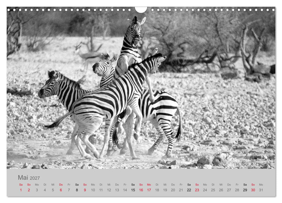 Die Seelen der wilden Tiere (CALVENDO Wandkalender 2027)
