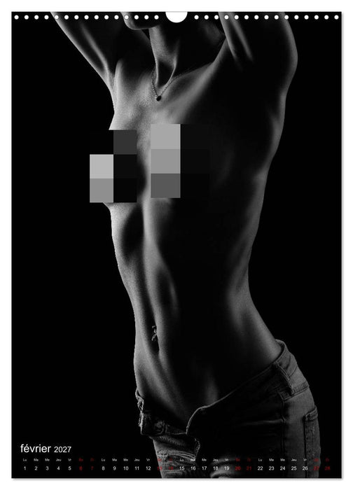 Apparat lumineux (CALVENDO Calendrier mensuel 2027)