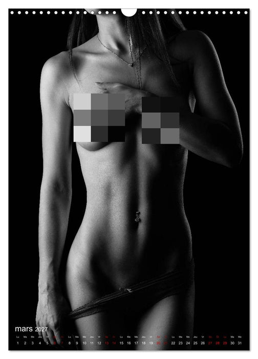 Apparat lumineux (CALVENDO Calendrier mensuel 2027)