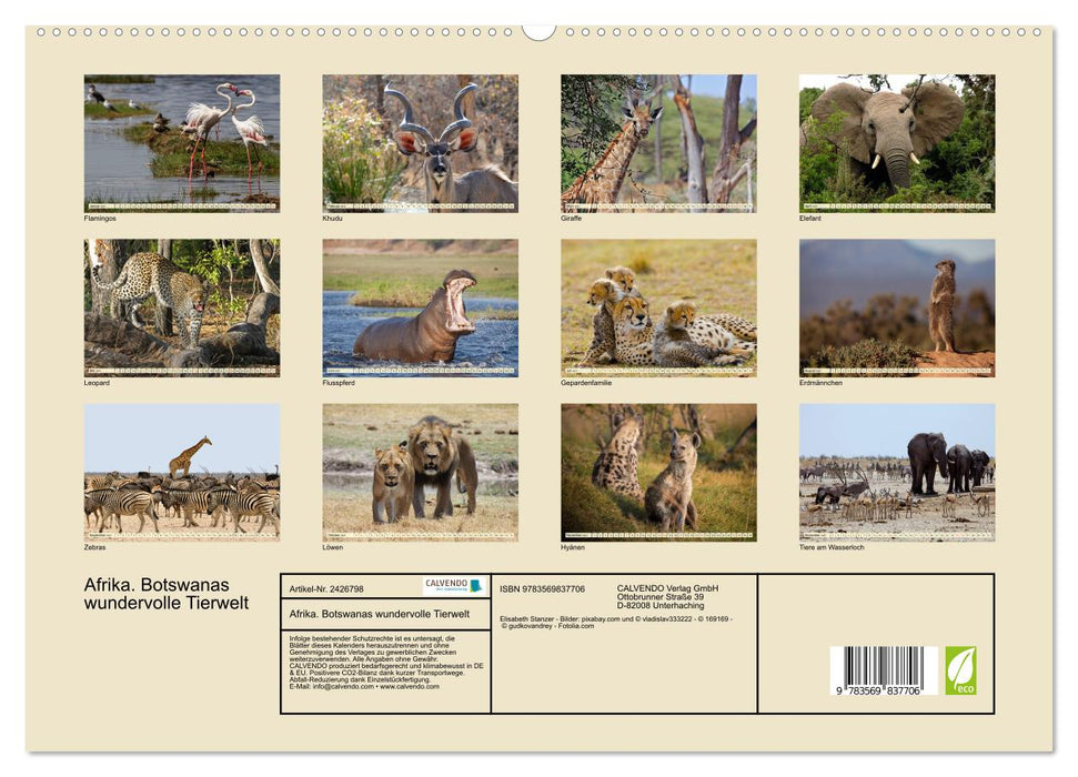 Afrika. Botswanas wundervolle Tierwelt (CALVENDO Premium Wandkalender 2027)