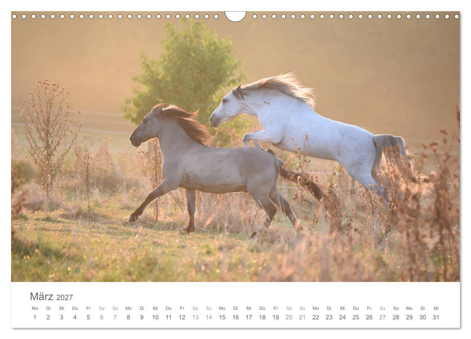 Märchenpferde (CALVENDO Wandkalender 2027)