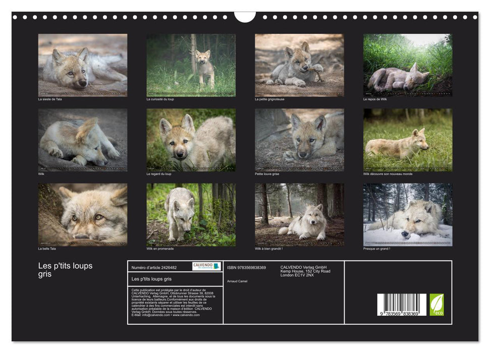 Les p'tits loups gris (CALVENDO Calendrier mensuel 2027)