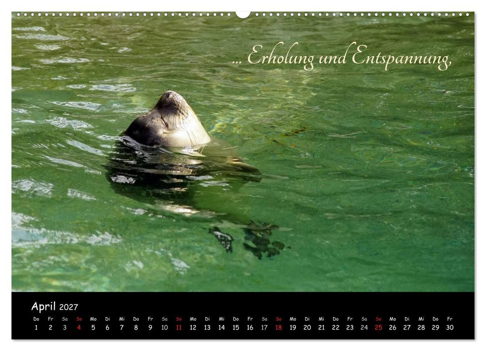 Gut gelaunt durch's Rentenjahr (CALVENDO Wandkalender 2027)