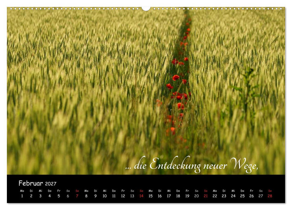 Gut gelaunt durch's Rentenjahr (CALVENDO Premium Wandkalender 2027)