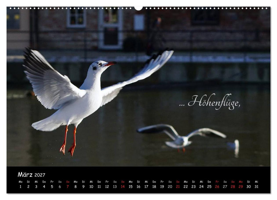 Gut gelaunt durch's Rentenjahr (CALVENDO Premium Wandkalender 2027)