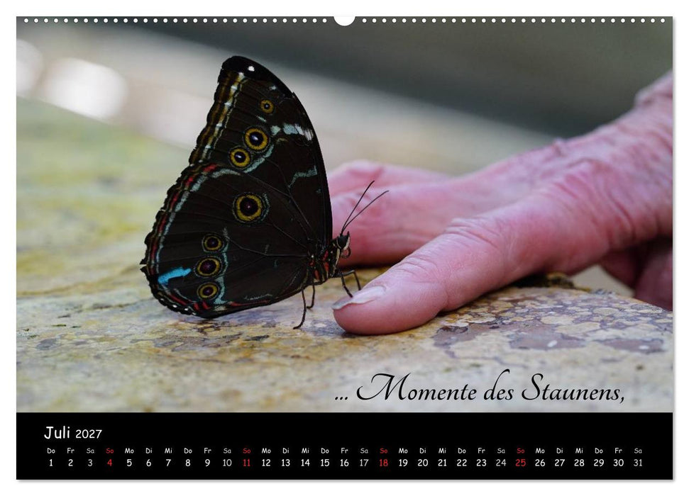 Gut gelaunt durch's Rentenjahr (CALVENDO Premium Wandkalender 2027)