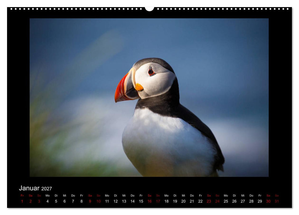 Island - Eine Reise in Bildern (CALVENDO Wandkalender 2027)