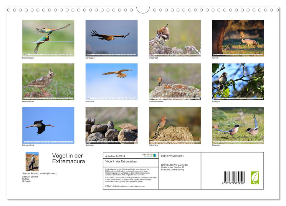Vögel in der Extremadura (CALVENDO Wandkalender 2027)