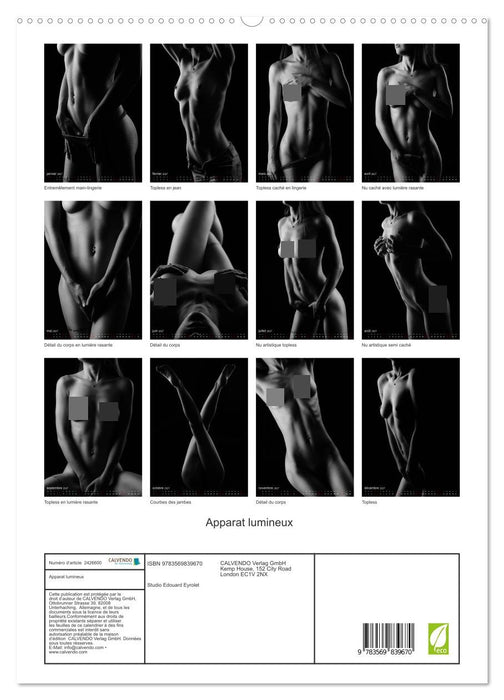 Apparat lumineux (CALVENDO Calendrier supérieur 2027)