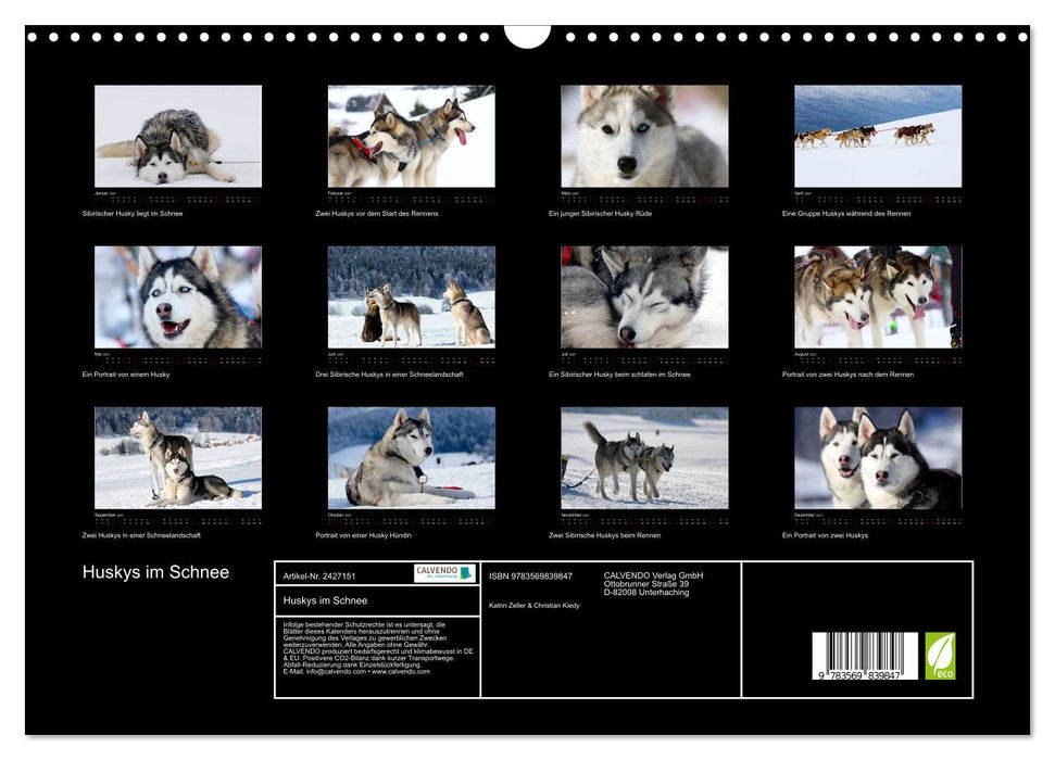 Huskys im Schnee (CALVENDO Wandkalender 2027)