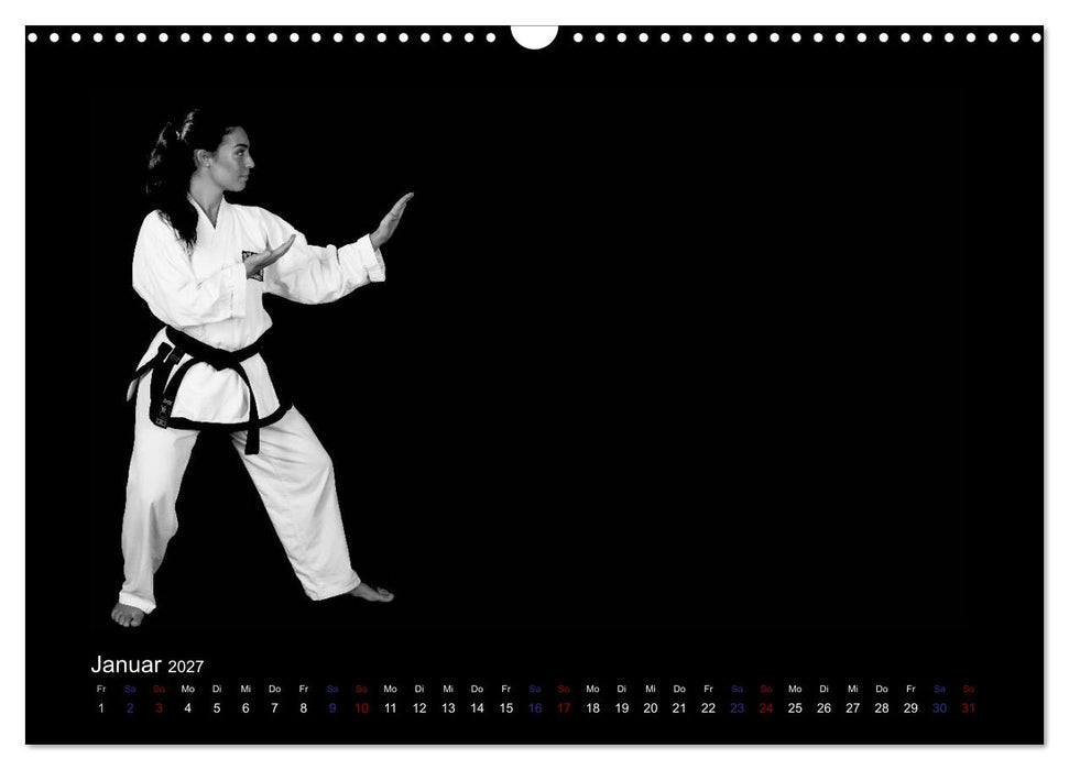 Traditionelles Taekwon-Do (CALVENDO Wandkalender 2027)