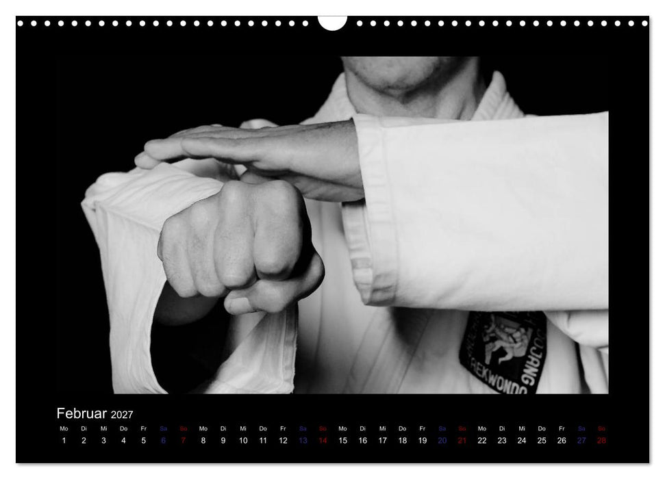 Traditionelles Taekwon-Do (CALVENDO Wandkalender 2027)