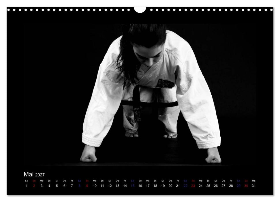 Traditionelles Taekwon-Do (CALVENDO Wandkalender 2027)