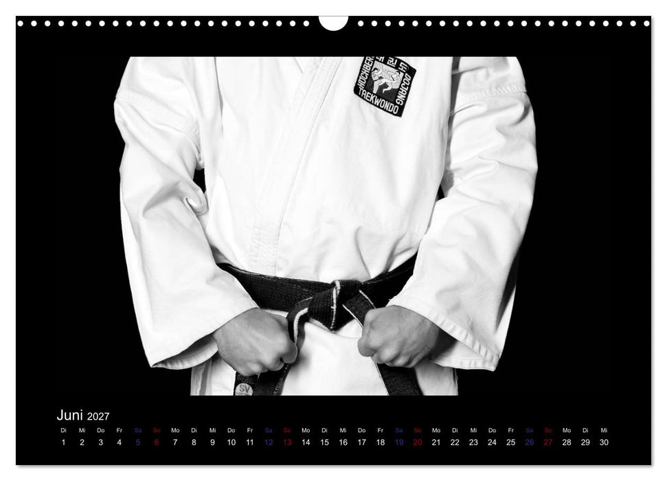 Traditionelles Taekwon-Do (CALVENDO Wandkalender 2027)