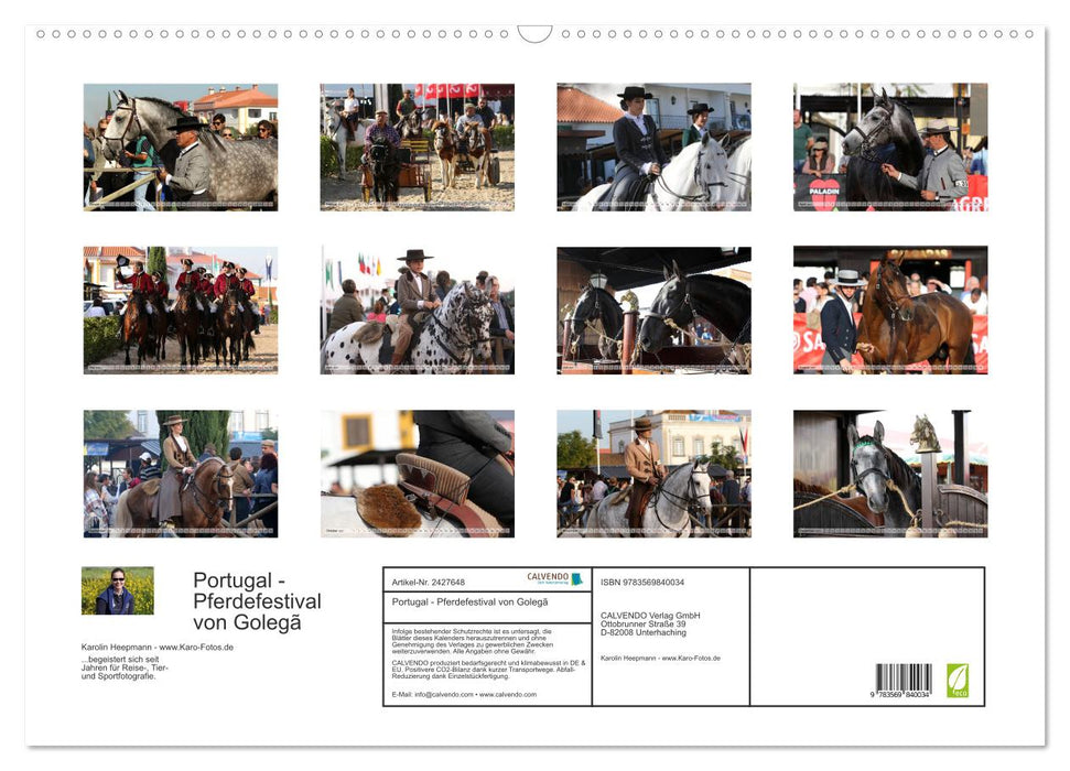 Portugal - Pferdefestival von Golegã (CALVENDO Wandkalender 2027)