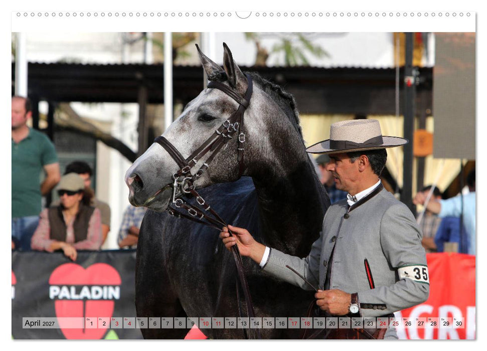 Portugal - Pferdefestival von Golegã (CALVENDO Wandkalender 2027)