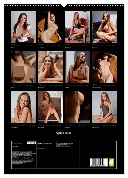 Agnes' Akte (CALVENDO Premium Wandkalender 2027)