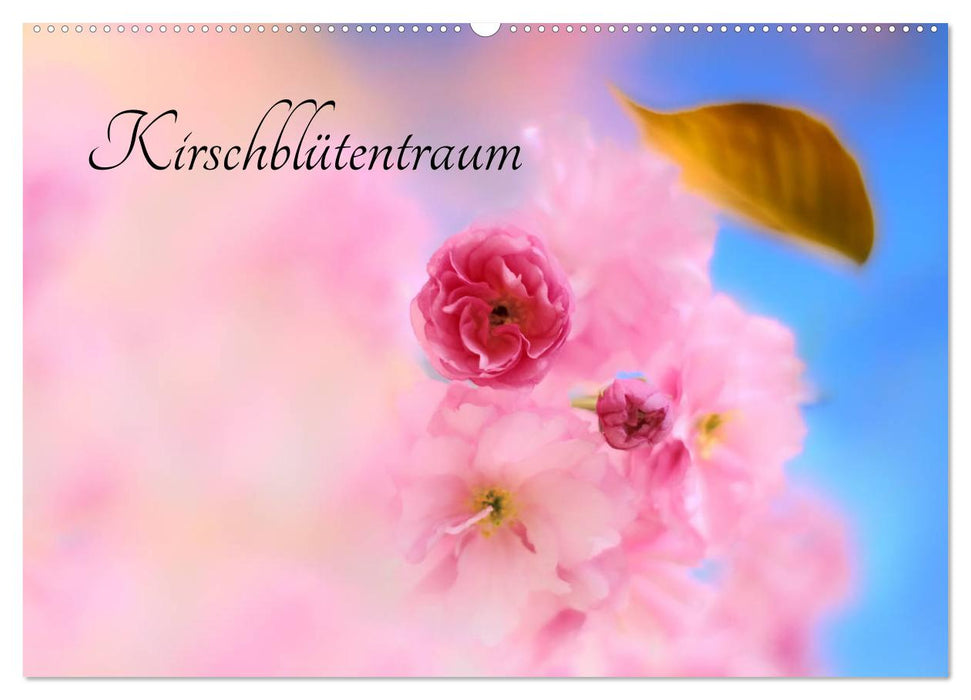 Kirschblütentraum (CALVENDO Wandkalender 2027)