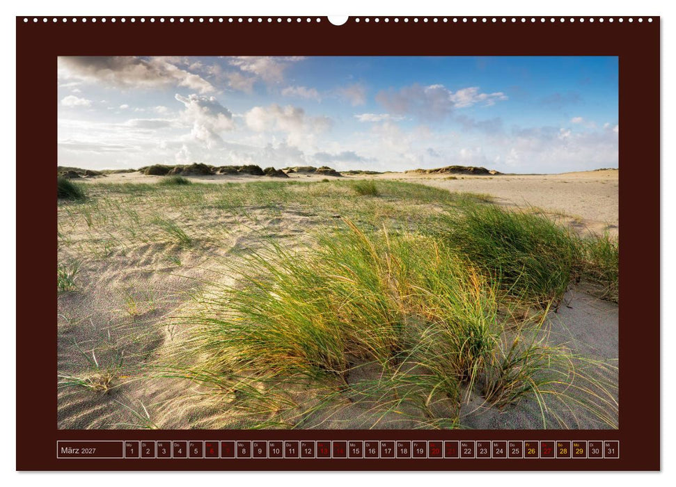 Streifzug durch Dänemark (CALVENDO Premium Wandkalender 2027)