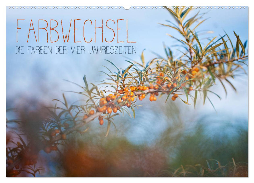 Farbwechsel - Die Farben der vier Jahreszeiten (CALVENDO Wandkalender 2027)