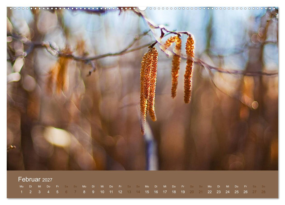Farbwechsel - Die Farben der vier Jahreszeiten (CALVENDO Wandkalender 2027)