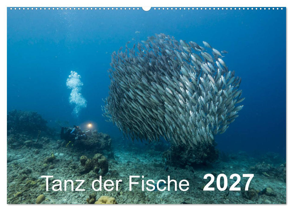 Tanz der Fische (CALVENDO Wandkalender 2027)