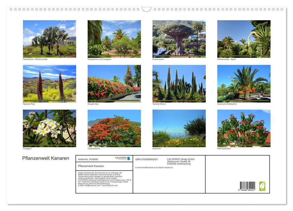 Pflanzenwelt Kanaren (CALVENDO Wandkalender 2027)