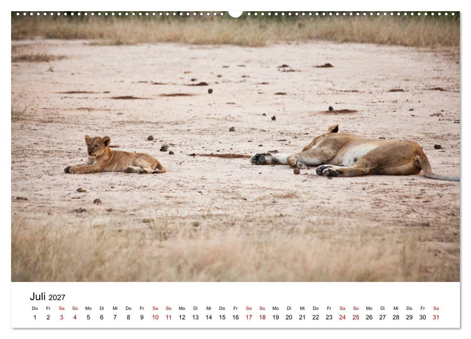 Sambia und der Sambesi (CALVENDO Premium Wandkalender 2027)