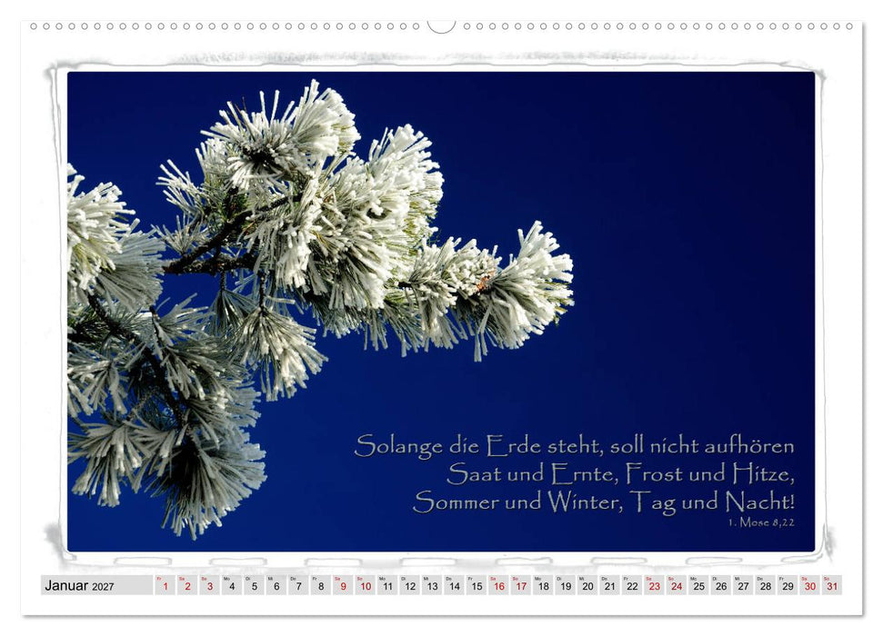 Biblische Sprüche und Verse (CALVENDO Wandkalender 2027)