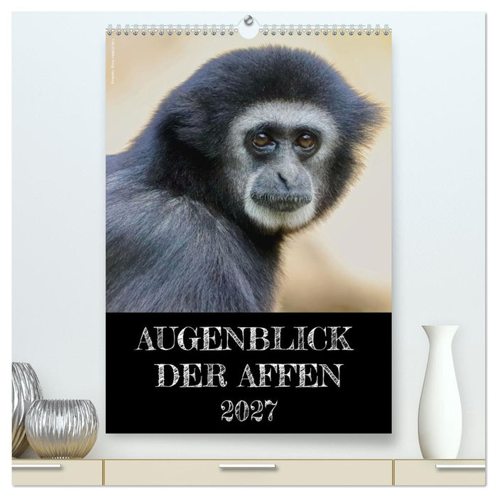 Augenblick der Affen 2027 (CALVENDO Premium Wandkalender 2027)
