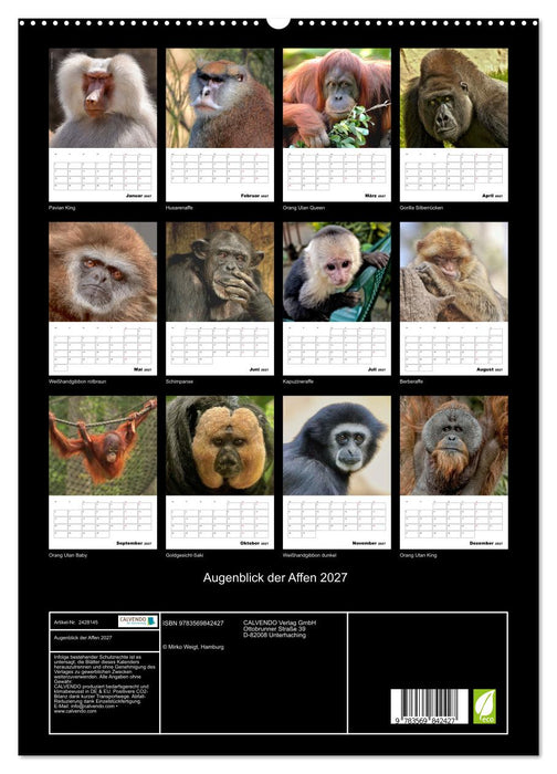 Augenblick der Affen 2027 (CALVENDO Premium Wandkalender 2027)