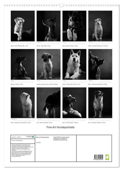 Fine Art Hundeportraits (CALVENDO Wandkalender 2027)