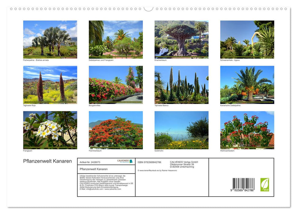 Pflanzenwelt Kanaren (CALVENDO Premium Wandkalender 2027)