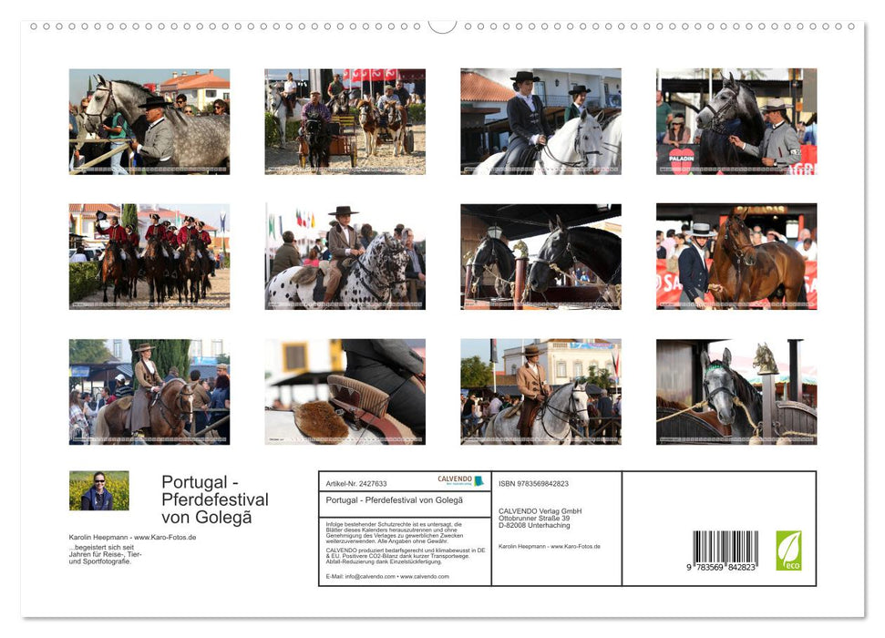 Portugal - Pferdefestival von Golegã (CALVENDO Premium Wandkalender 2027)